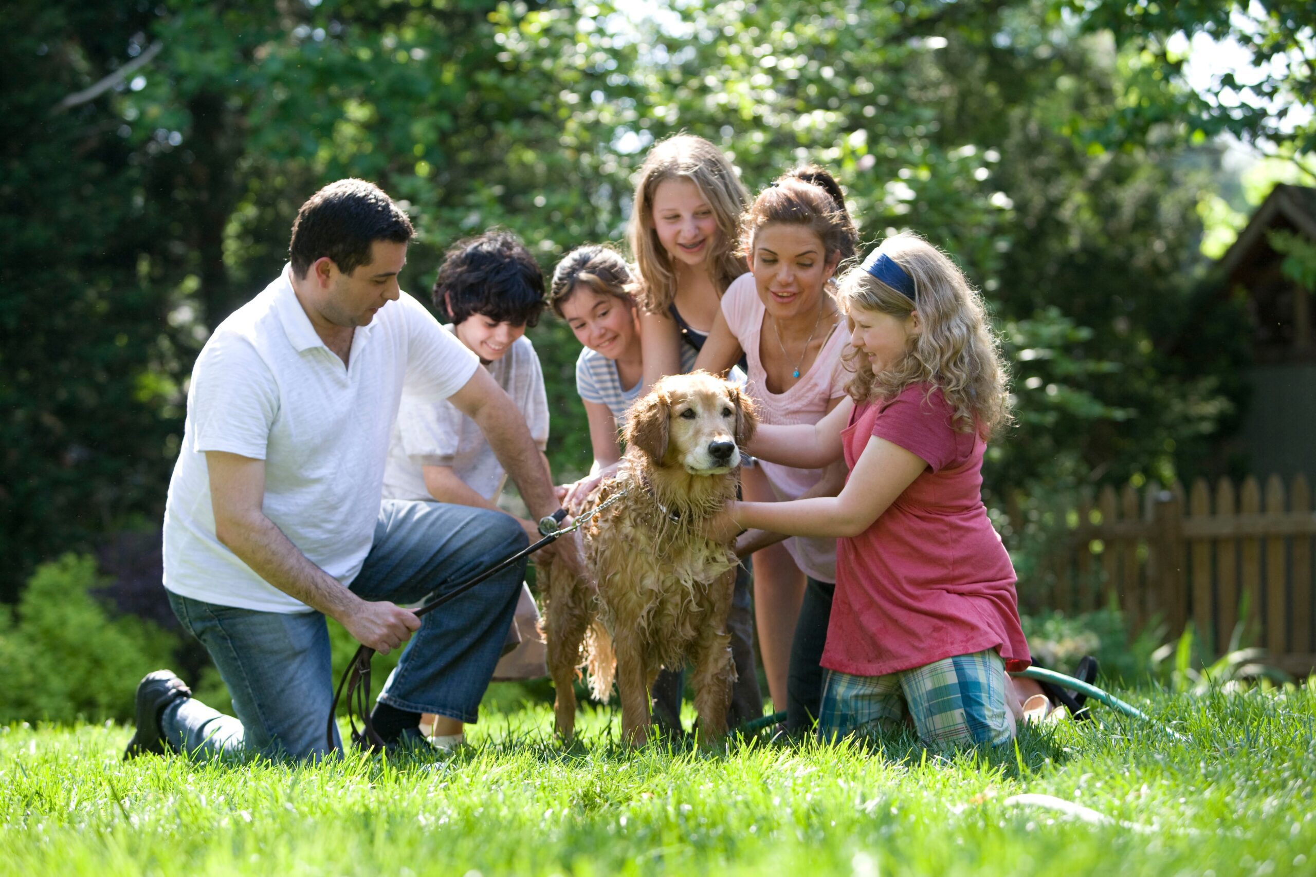 family gathered around a wet dog