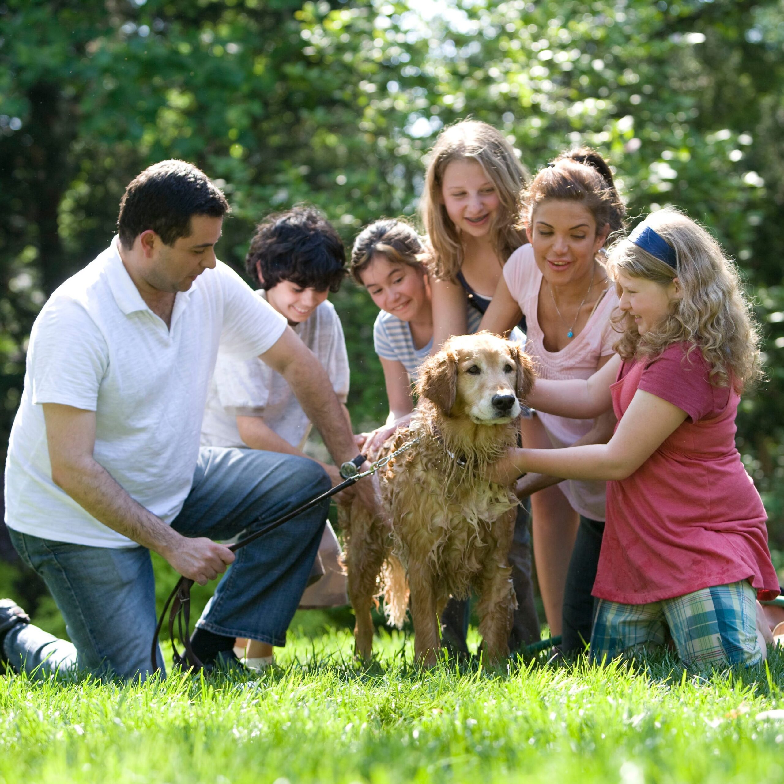 family gathered around a wet dog